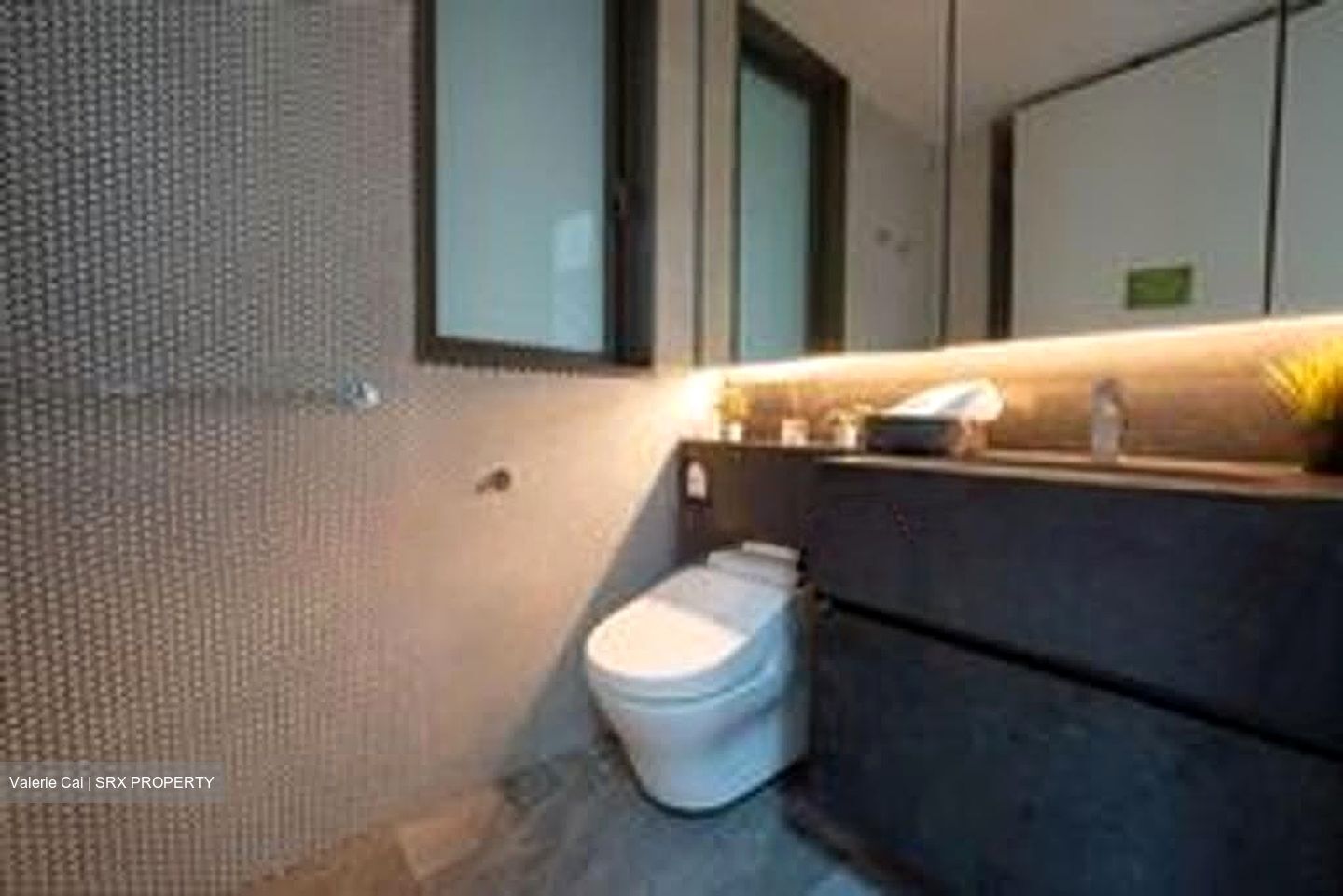 10 Evelyn (D11), Apartment #605401351